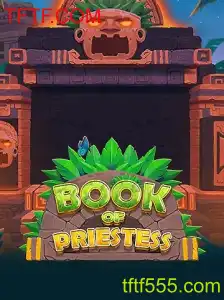 Descubra o Fascinante Mundo de BookOfPriestess